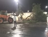 صور.. رفع 10 أشجار ولافتات إعلانات سقطت بسبب الطقس السئ بمدينة الأقصر