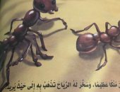 للأطفال.. قصة سليمان وكيف عرف أنه يفهم لغة النمل والطيور؟