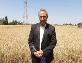 مدير عام الزراعة بالشرقية: توريد 592 طن قمح من المحصول الجديد للصوامع والشون