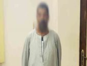 صور.. ضبط مواطن زرع 400 شجرة مخدرات داخل أرضه بمسقط رأس عزت حنفى بأسيوط