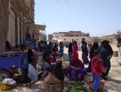 فض 3 أسواق بالعامرية وإزالة الإشغالات وسط الإسكندرية.. صور