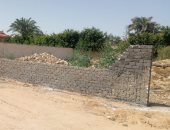 محاولة سرقة أرض الدولة بالإسكندرية ببناء سور من الأشجار..والحى يتصدى بالإزالة