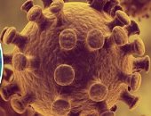  البرازيل تتفوق على فرنسا فى حالات كورونا وتحتل المركز المركز السادس.. 20 ألف عامل بالمسالخ معرضون للخطر والمدن تتحول لقبور.. الرئيس يصمم على عدم فرض الطوارئ لأجل الاقتصاد.. ويؤكد: من لا يريد العمل ليبقى بالمنزل