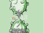 كاريكاتير صحيفة أردنية.. فيروس كورونا يحصد المزيد من الأرواح