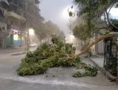 شاهد آثار عاصفة ترابية شديدة ضربت محافظة الأقصر فى 15 صورة