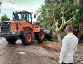 مدينة البياضية ترفع آثار الطقس السئ بعد سقوط 20 شجرة على الطرق 