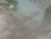 شكوى من انتشار مياه الصرف الصحى بشارع بترعة الزمر بشتيل