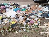 سيبها علينا.. شكوى من انتشار القمامة بشارع حمدى هاشم المحلة الكبرى