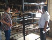 إعدام 750 كيلو رنجة بالشرقية غير صالحة قبل طرحها فى الأسواق 