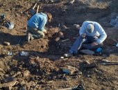صور.. العثور على حفرية لآخر ديناصور مفترس على الكوكب فى الأرجنتين