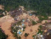 ديلى ميل تحذر من ارتفاع معدل إزالة غابات الأمازون