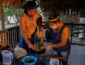 قبائل برازيلية: العلاجات التقليدية من لحاء الشجر والعسل ساعدت فى التغلب على كورونا