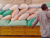 صور.. توريد 159 ألفا و806 أطنان قمح لصوامع كفر الشيخ