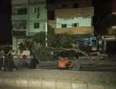 عواصف ترابية تسبب سقوط أشجار وقطع الكهرباء عن عدة مناطق بالخارجة.. صور