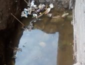 شكوى من استمرار غرق شوارع سمنود بمياه الصرف الصحى فى الغربية  