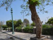 ‏كورنيش النيل بالمنيا بلا زائرين فى أول أيام عيد الفطر