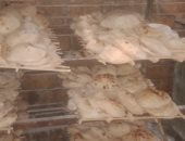 محافظ القاهرة: مخابز العاصمة تعمل بكامل طاقتها وحملات تموينية لمتابعة الأسواق