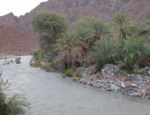 فيضان سد وادى شوكة برأس الخيمة بالإمارات.. فيديو