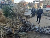 الحماية المدنية بالوادى الجديد تنظف أماكن سقوط أشجار بسبب الرياح .. صور 