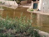 سيبها علينا.. أهالى شارع أحمد شوقى بالزقازيق يشكون من عدم وجود صرف صحى