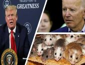 باختصار.. أهم الأخبار العالمية والعربية حتى منتصف الليل.. الصحة العالمية تحذر من هجمة شرسة ثانية لكورونا فى مناطق تراجع بها الإصابات.. سوريا تلغى حظر التجول الليلى.. الكويت: لا تمديد للحظر الشامل بعد 30 مايو