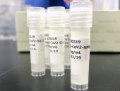 بدء التجارب البشرية على لقاح كورونا الياباني.. يوليو المقبل