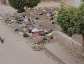 أهالى مدينة شبين القناطر محافظة القليوبية يشكون تراكم القمامة