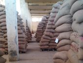 محافظ الدقهلية: استمرار انتظام توريد القمح بإجمالى 182.7 ألف طن  للصوامع