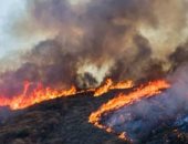 حرائق الغابات تلتهم 11 ألف فدان فى لوس أنجلوس.. ومخاوف من اتساع انتشارها