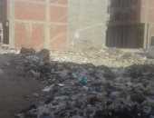 صور.. حملة مكبرة لرفع تراكمات القمامة بطول شارع الترعة بالمحلة