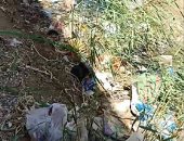 ردم ترعة قرية شكشوك بالفيوم.. مناشدة الأهالى لاحتوائها على قمامة مستمرة