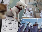 أسبوع كورونا × 10 صور.. أسواق دبى تفتح أبوابها بقيود.. عروض جوية لتحية الطواقم الطبية فى اليابان.. أطباء فرنسا يتظاهرون احتجاجا على نقص أدوات الحماية.. وكلاب وقطط مصر يوجهون رسالة "لا تتخلوا عنا لا ننقل المرض"