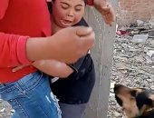 شابان يعتديان على طفل من ذوى الاحتياجات الخاصة بكلب بوليسى.. فيديو