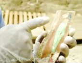 هل تسبب فيروس كورونا فى تأجيل الإعلان عن اكتشافات أثرية جديدة؟