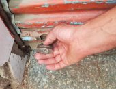 غلق مطعم بكفر الشيخ بعد ثبوت إيجابية حالة عامل بكورونا.. صور