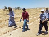 محافظ شمال سيناء: تطوير ورفع كفاءة تجمع الشياحة بوسط سيناء.. صور