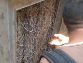 قارئ يشكو انقطاع خدمة التليفون الأرضى والإنترنت بسبب تهالك التوصيلات بشبرا الخيمة