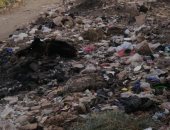 قارئ يشكو انتشار تراكمات للقمامة بنزلة الأشطر الجيزة وتهالك الطريق