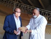 "تموين الإسكندرية " : توريد 129 ألف طن قمح وسط تطبيق الإجراءت الإحترازية