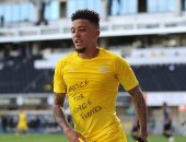 الاتحاد الألماني يرفض معاقبة اللاعبين الداعمين لقضية "جورج فلويد"