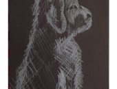 قارئ يشارك برسومات فنية و يقول : نفسى أكون رسام عالمى