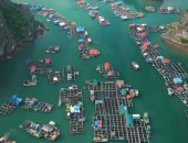 فيديو لـ ليوناردو ديكابريو حول تلوث خليج فيتنامى يحظى بأكثر من مليون مشاهدة