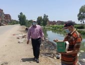 صور.. زراعة الشرقية تنفذ حملة لمكافحة القوارض بمركزى بلبيس وأبو حماد