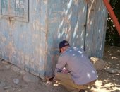 صور.. شمال سيناء تشن حملات لمكافحة القوارض بالمراكز والقرى