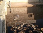 أهالى "زاوية الجدمى" بالمنيا يناشدون بتوصيل الصرف الصحى للقرية