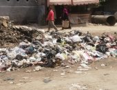 شكوى من انتشار القمامة والكلاب الضالة أمام مركز شباب السواح بالأميرية