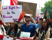 أشهر 10 نجوم عالميين اهتموا بالبيئة.. أبرزهم ليونارد ديكابريو وبراد بيت