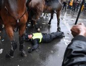 فيديو.. حصان تابع لشرطة لندن يدهس متظاهرا ضد العنصرية بداونينج ستريت
