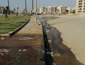 شكوى من إهدار المياه بأحد ميادين حدائق أكتوبر بمحافظة الجيزة