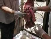 تحرير 207 محضرا تموينيا وضبط 5 طن دقيق قبل بيعه بالسوق السوداء بسوهاج 